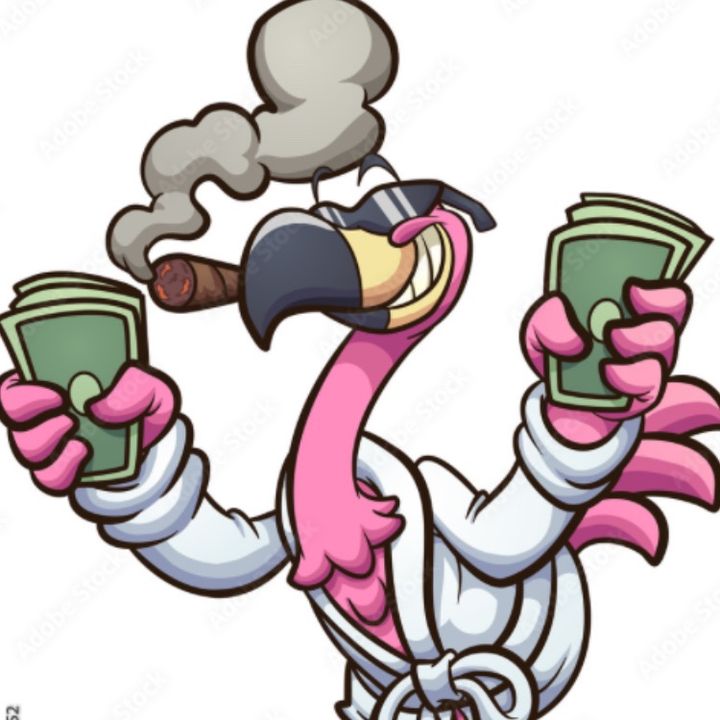 Profile Picture of flamingo&allen (@allenandflamingy) on Tiktok