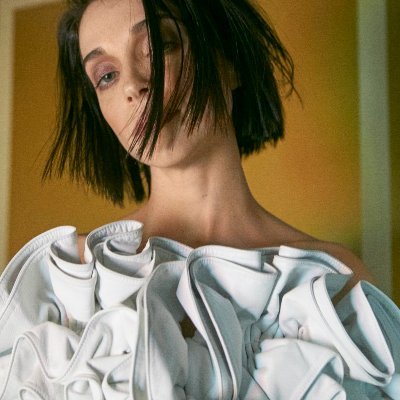 Profile Picture of St. Vincent (@st_vincent) on Twitter