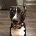 Profile Picture of Joshua Luedtke (@joshua.luedtke) on Instagram