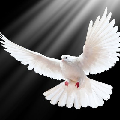 Profile Picture of Joseph Lexton (@Dangube12Lexton) on Twitter