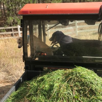 Profile Picture of Colin McQuilkin (@ColinMcQ23) on Twitter