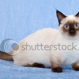 Profile Picture of Pepper McCoy (@pepper.mccoy.5) on Facebook