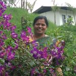 Profile Picture of Prema Rao (@raopreman) on Instagram