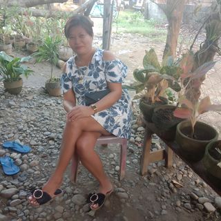 Profile Picture of Sharron Sanchet (@sharron.sanchet) on Facebook