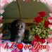 Profile Picture of Isreal Campbell (@isreal.campbell.39) on Facebook