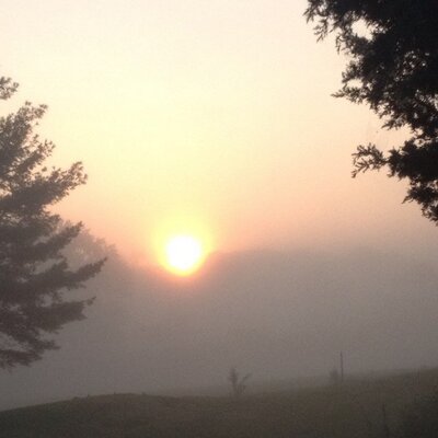 Profile Picture of Lisa Keefer (@countryfun4all) on Twitter