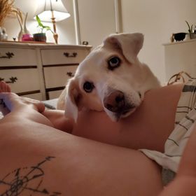 Profile Picture of Jessica Michelle Dupuis (@barberj2) on Pinterest