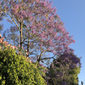 Profile Picture of Rebecca Yap (@rebecks) on Youtube