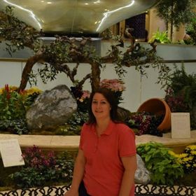 Profile Picture of Kellie Shell (@shellk70) on Pinterest