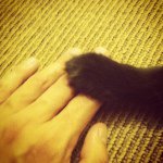 Profile Picture of John Swasey (@kitn_mitns) on Instagram