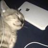 Profile Picture of tony căluian (@tony_caluian15) on Tiktok