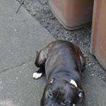 michael keddie - Instagram Profile Picture of michael keddie (@keddiemichael) on Instagram