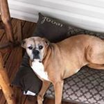 Profile Picture of Robert Waye (@wayerobert) on Instagram