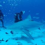 Profile Picture of Arkadiusz Janczewski (@janczewskiarkadiusz) on Instagram