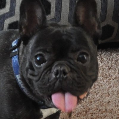 Profile Picture of Nicholas Giarrusso (@starr6768) on Twitter