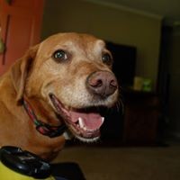 Profile Picture of Jeff Beasley (@jeff-beasley-4) on Quora