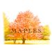 Profile Picture of 🍁M༶A༶P༶L༶E༶S🍁 (@Andrew_Kristiansen) on Pinterest