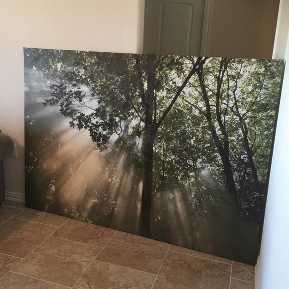 Profile Picture of Nora Rocha (@nrocha01) on Poshmark