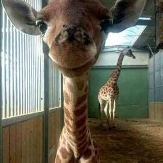 Profile Picture of Melissa Garrett Flint (@melissaflnt) on Facebook