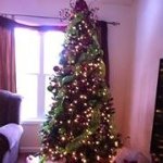 Profile Picture of Kelly Shafer Skeen (@flkjskeen) on Instagram