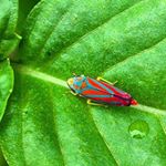 Profile Picture of Mark-Antonio Smith (@thenurturyforkids) on Instagram