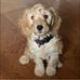 Profile Picture of Shaun Barron (@shaun.barron.35) on Facebook