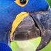 Profile Picture of Michael Luckenbaugh (@2026michaelluckenbaugh) on Pinterest