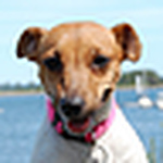 Profile Picture of Joe Pena (@prbxtech) on Flickr