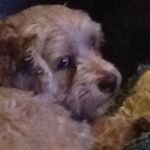 Timothy Merryman - Instagram Profile Picture of Timothy Merryman (@thesafehaven12) on Instagram