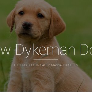 Profile Picture of Matthew Dykeman Dog Blog (@matthewdykemandogblog) on Myspace