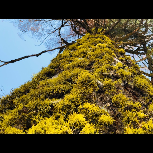 Profile Picture of Lucas Souza (@luke23485) on Poshmark