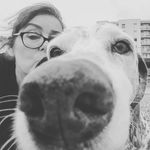 Profile Picture of Lisa Wilding (@lisaliwilding) on Instagram