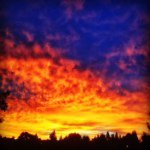 Profile Picture of Roy Higgins (@higgles83) on Instagram