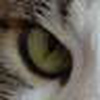Profile Picture of Julien Nguyen (@Julien Nguyen) on Flickr