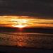 Profile Picture of Amber Mowrer (@aireez) on Pinterest
