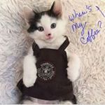 Profile Picture of Sherry Fulton (@fulton.sherry) on Instagram