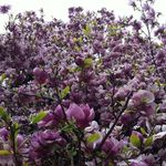 Profile Picture of Mélanie Monasso (@melaniemonasso) on Instagram