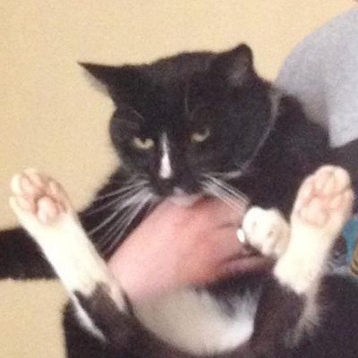 Jess Benham - Twitter Profile Picture of Jess Benham (@ilovewillybum) on Twitter