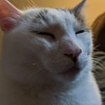 Profile Picture of Jon Hearn (@midnight_coder08) on Instagram