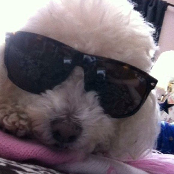 Profile Picture of Lexi Deconti (@adeconti) on Poshmark