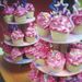 Profile Picture of Erika Torres Delaf (@erikutes) on Pinterest