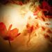 Profile Picture of Jose Catalan Osuna (@catalanosuna) on Pinterest
