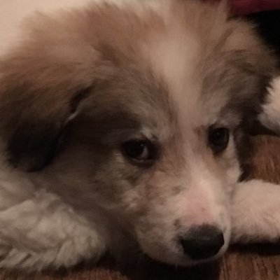 Profile Picture of Jason_spore (@JasonSpore) on Twitter