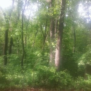 Profile Picture of Curtis Bowerman (@bufardos) on Twitter