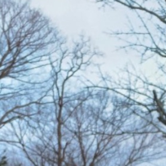 Profile Picture of Becca Anairt (@becanairt) on Poshmark