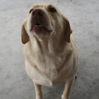 Profile Picture of Candis Mckinney (@candis-mckinney-1) on Quora