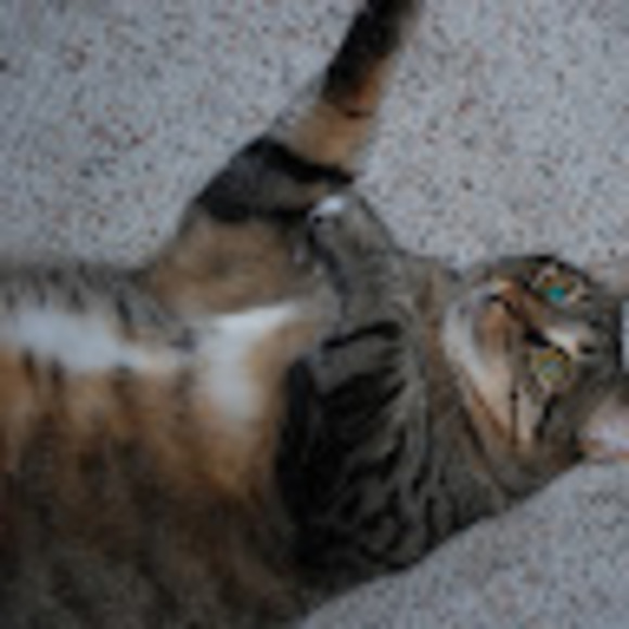 Profile Picture of Jacqueline Mccloud (@jacquelinemc680) on Poshmark