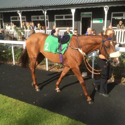Profile Picture of John Hulse (@hulseyscarpets) on Twitter