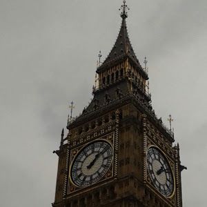 Profile Picture of Pietro Cecere (@petercecere) on Tiktok