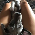 Profile Picture of Anne Weerapass (@anneweerapass) on Instagram